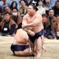 若隆景が14日目から休場　右肘を痛めており、すでに勝ち越し　相手の大栄翔は不戦勝
