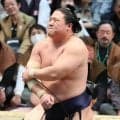幕内・若隆景が春場所１４日目から休場　「右肘内側側副靱帯損傷疑い」などのため、全治６週間の診断書を届け出る