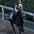 土曜阪神競馬場の注目激走馬…阪神１１Ｒ・若葉ステークス（Ｌ）