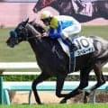 【中山６Ｒ・３歳１勝クラス】スペルーチェが着差以上の強さでオープン入り　ルメール騎手「能力ある。１６００メートルはちょうどいい」