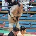 ３９場所連続負け越しの森麗、無念の黒星に言葉少な　師匠は「もう一度勝ち越しをさせたい」