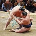 豊昇龍「ちくしょー」、霧島の涙のインタビューに「なんで泣いてんだろうな」精いっぱいの意地か