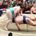 前頭一山本、関脇高安を上手投げで下し勝ち越す「自分から動いたからこそ決まった」