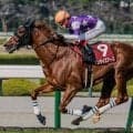 阪神大賞典は上位人気が優勢 上がりの脚に注目