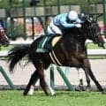 【愛知杯予想】昨年から芝1400mにリニューアル ヴィクトリアMを占う一戦