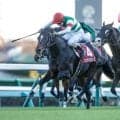 阪神大賞典は渋太く脚を使える馬に注目 穴はシュヴァリエローズだ