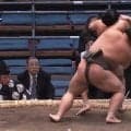 大相撲で「一本背負い決まった」「すんごい決まり手」細マッチョ力士、体重差を跳ね返す劇的決着に館内騒然