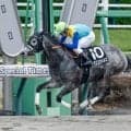 【千葉S結果】ドラゴンウェルズが好位から抜け出し2連勝