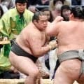 元十両の生田目が三段目優勝　豊雅将との決定戦を制し「満足せず、上に戻んないと」