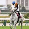 【阪神大賞典】アクアヴァーナルは惜しくも２着　牝馬初制覇はならず　坂井瑠星騎手「頑張ってくれたと思います」