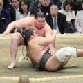 横綱のしこ名を継ぐ旭富士、序二段優勝　元十両を鮮やかに投げるも反省「前に出る相撲を勉強して頑張ります」