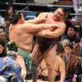 ３度目Ｖの霧島は３敗目　大関琴桜に押し出され千秋楽飾れず　１２勝３敗で春場所終える