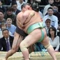 優勝決めている霧島は琴桜に敗れて１２勝３敗　豊昇龍は安青錦に初勝利　安青錦は初の綱取り場所で負け越し