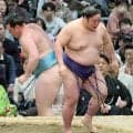 ２８歳の新入幕・藤青雲が１０勝目で敢闘賞「本当にうれしい。信じられない」…脱サラ、左膝の大けが経験した苦労人
