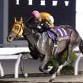 【高知・ネクストスター西日本】カツテナイオイシサが重賞連勝　岡村卓弥騎手「騎手人生においてカツテナイほどの馬」