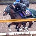 【高松宮記念】パンジャタワーの１週前追い切りは雨で馬場悪化も松山騎手「しっかり動けていました」