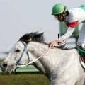和田竜二騎手とのコンビが印象的なクーリンガーが制したマーチSを回想