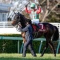 【日経賞見どころ】有馬記念2着のコスモキュランダが重賞2勝目を狙う