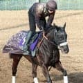 【高松宮記念・水納の特注馬】ナムラクレアは２週連続坂路で好時計マーク　ラストランへ万全の仕上がり