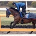 【日経賞・イシゴーの特注馬】ローシャムパークに感じる“線”の調整過程　田中博調教師「とても順調に来ている」