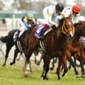 高松宮記念勝ち時計ランキング 上位には昨年勝ち馬やGI格上げ初年度の覇者など