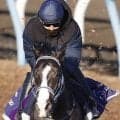 【注目馬動向】マスカレードボールが香港クイーンエリザベス２世Ｃの招待を受諾　鞍上は引き続きルメール騎手