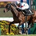 【日経賞想定騎手】マイユニバースは横山典弘騎手、ローシャムパークはC.ルメール騎手