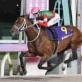 ダート競馬の祭典ＪＢＣ３競走、２７年は大井競馬場で４年ぶり１０回目の開催