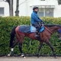 【日経賞】２３年以来の重賞Ｖ狙うローシャムパークは先週の一番時計　田中博調教師「とても順調です」
