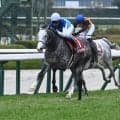 アドマイヤテラが阪神大賞典V 父レイデオロは芝長距離で“史上最強クラス”の種牡馬