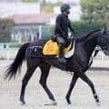 【日経賞】２４年紫苑Ｓ勝ち馬クリスマスパレードは復活へブリンカー装着　加藤士調教師「どれくらい変わってくれるか」