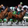 【高知・黒船賞注目馬】当地唯一のダートグレード競走 春の短距離戦線を占う一戦