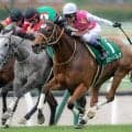 【高松宮記念】武豊騎手が19年ぶりVなるか ジューンブレアと5戦連続のタッグだ