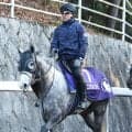 【高松宮記念】ヤマニンアルリフラは２度目のＧ１挑戦　斉藤崇調教師「順調に上がってきています」