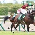 ２４年小倉２歳Ｓ覇者エイシンワンドが競走馬登録抹消　今後は園田競馬へ移籍する予定