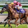【高松宮記念】JRA史上初の偉業へ 9歳ウインカーネリアンがスプリントGI連勝狙う