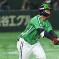 「何でこれで入るの？」　低迷ヤクルトに“期待の星”…25歳の“片手満塁弾”に衝撃
