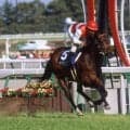 高松宮記念着差ランキング 1位は芝3戦目でGI制覇したショウナンカンプ