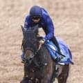 【マーチＳ】アクションプランは鞍上が好感触　荻野極騎手「しっかりとした脚取りで息遣いも楽」