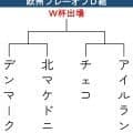 【Ｗ杯予選】欧州PO･D組　デンマークが本命、アイルランドは予選でポルトガルに完封勝ち