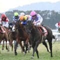 ナムラクレアと一番多く対決した馬は？ 高松宮記念でラストラン予定