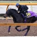 【大阪杯・１週前】ＣＷで７ハロン９４秒３の猛時計！「十分にチャンスはある」友道調教師が躍動したショウヘイに手応え