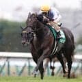 【高松宮記念枠順確定】ナムラクレアは7枠13番、サトノレーヴは5枠9番