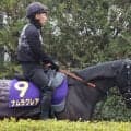 【高松宮記念】有終の美を狙うナムラクレアは７枠１３番　長谷川調教師「並びは競馬しやすい印象」