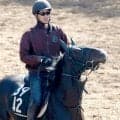 【毎日杯】アルトラムスは２か月半の休養で成長十分　野中調教師「調教で楽に動けるようになっている」