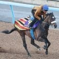 【注目馬動向】田中博康厩舎へ転厩のシックスペンスは読売マイラーズＣが最短の目標　キャロットクラブが発表