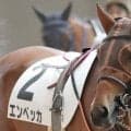 半姉は名牝シンハライト エンベッカが2勝目なるか
