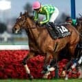 【日経賞予想】長距離戦は馬体重が好走の鍵!? 大型馬が苦戦する最たる要因