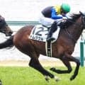 【仲春特別】半弟はダイヤモンドノット チムグクルが連闘で連勝なるか