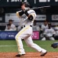 【ソフトバンク】山川穂高が１号同点弾　開幕アーチに絶叫　栗原、近藤に続くチーム３発目